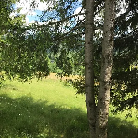 під зорями Slavske